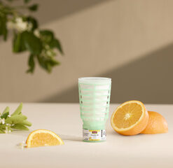 Osvěžovač vzduchu CirculAir  - Citrus Mix